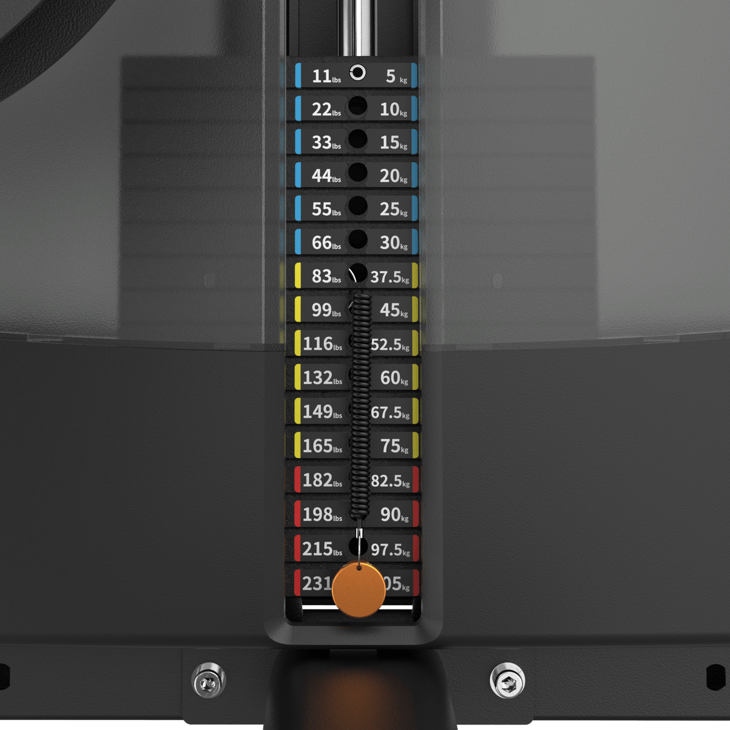 IRONSIDE Luxe Biceps Curl Machine Strength Machines IRONSIDE FITNESS CANADA