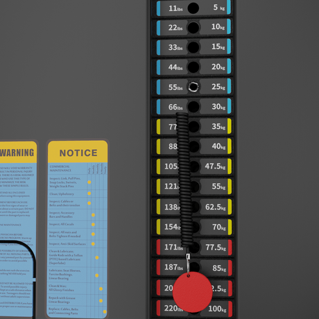 IRONSIDE Luxe Dual Biceps & Triceps Machine Strength Machines IRONSIDE FITNESS CANADA