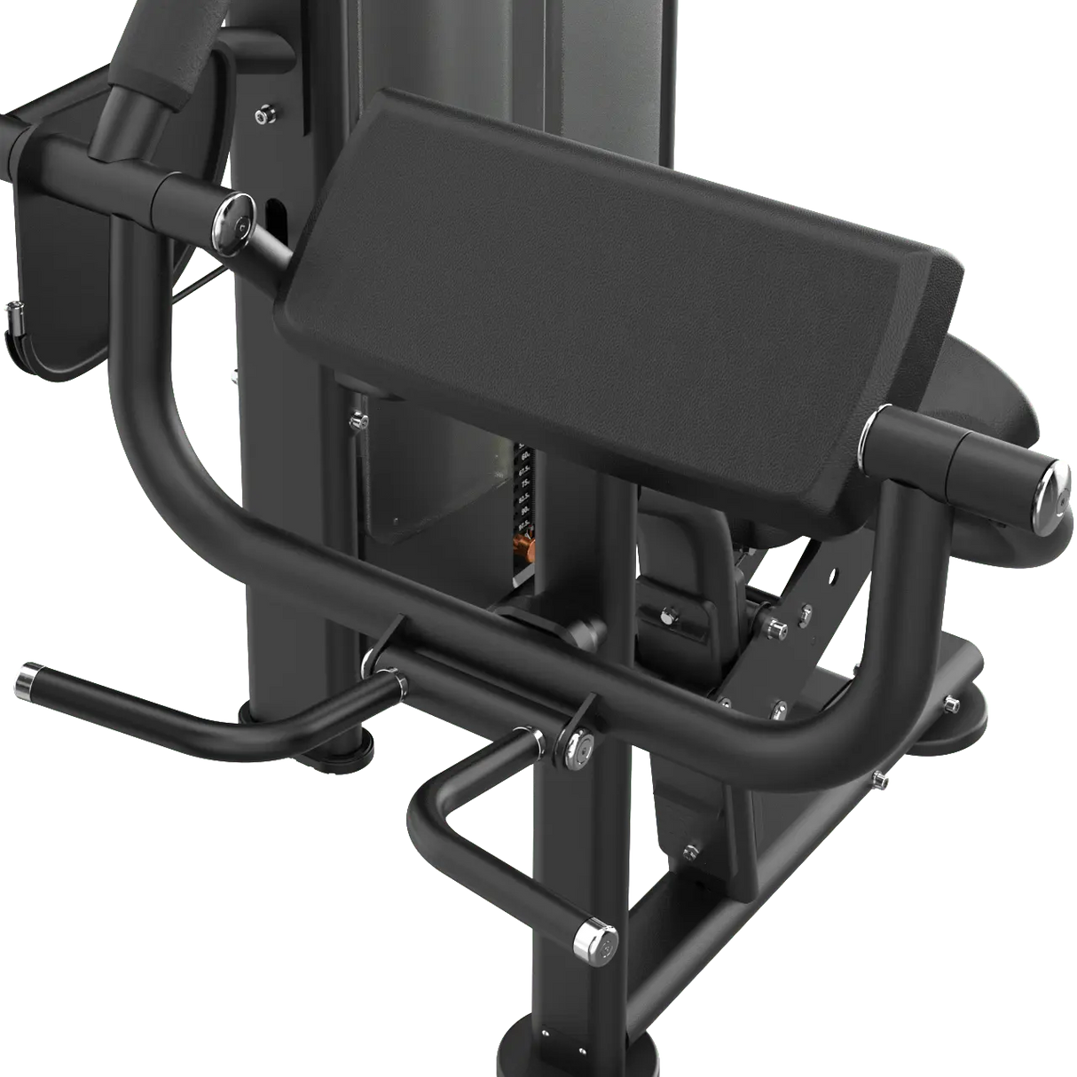 IRONSIDE Luxe Biceps Curl Machine Strength Machines IRONSIDE FITNESS CANADA