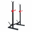 IRONSIDE Squat Rack Racks IRONSIDE FITNESS CANADA