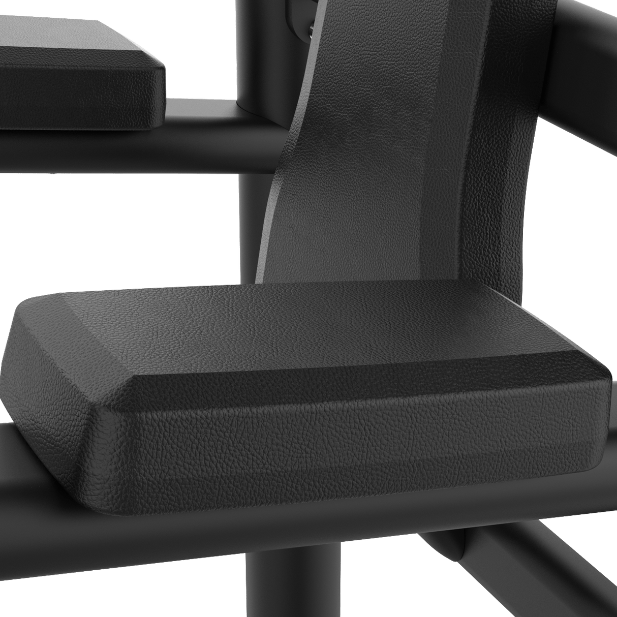 IRONSIDE Luxe Multi Pull-Up & Dip Station